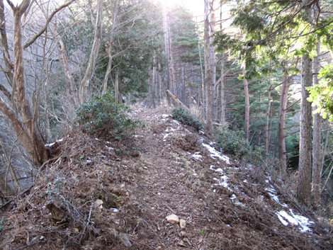 20181214hike (56)